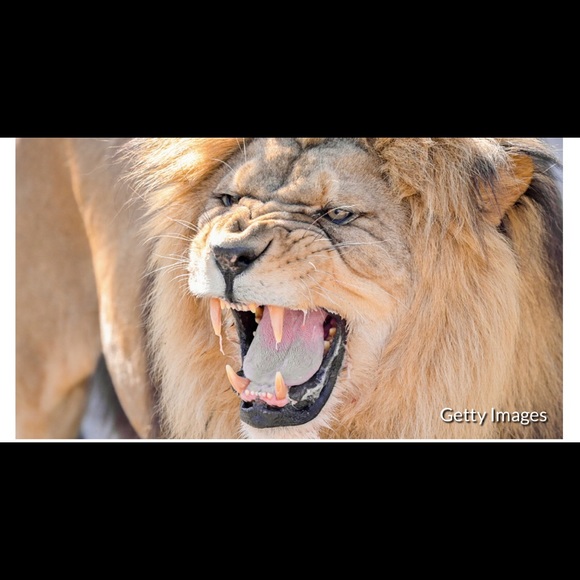 I sell unique items for your enjoyment. - Picture 4 of 4